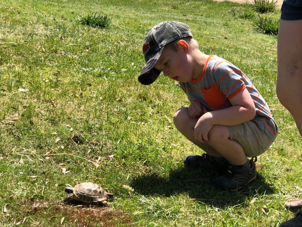 Actividades educativas al aire libre