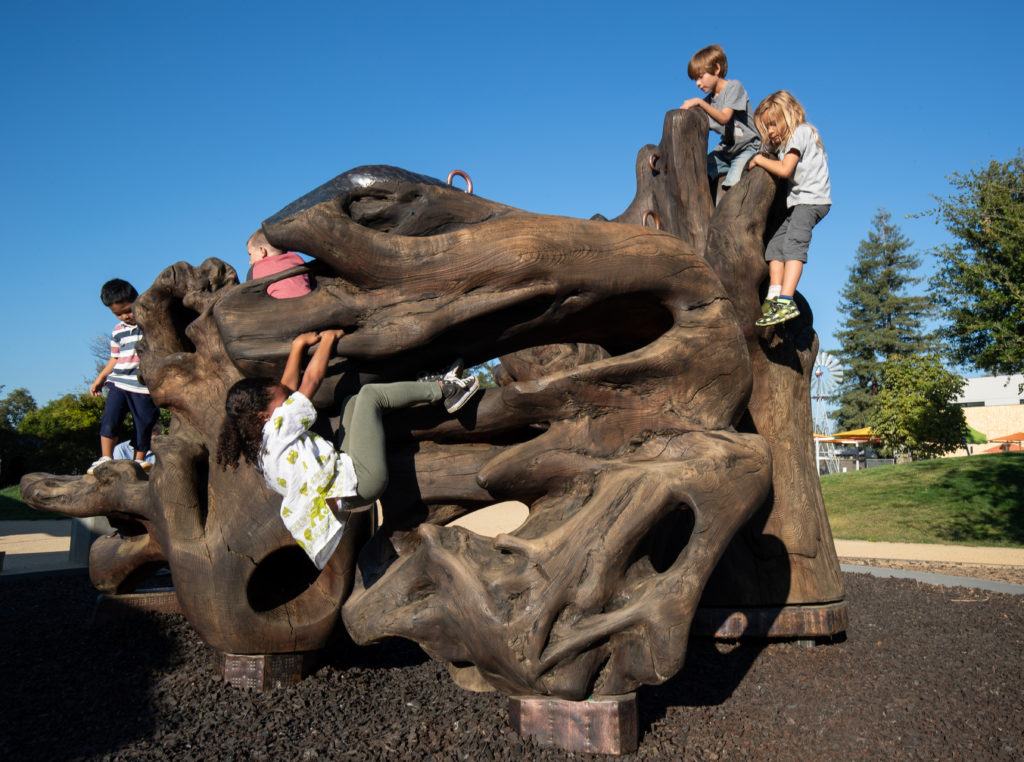 children playing on megaflora exhibit