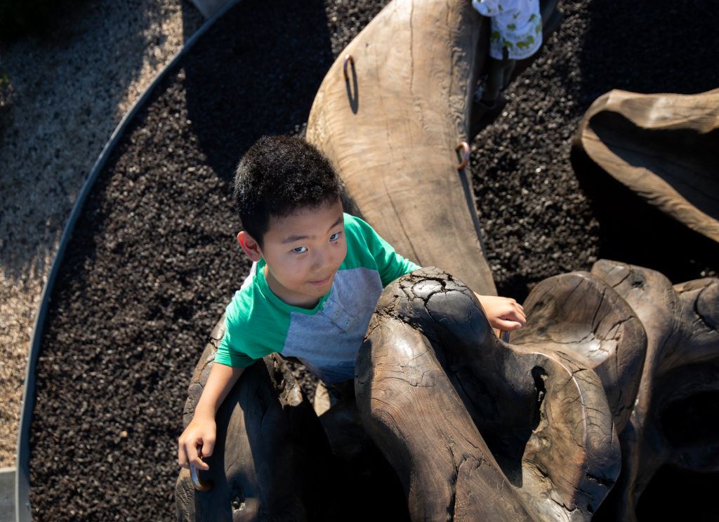 children playing on megaflora exhibit