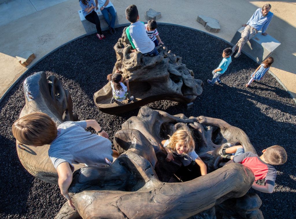 children playing on megaflora exhibit