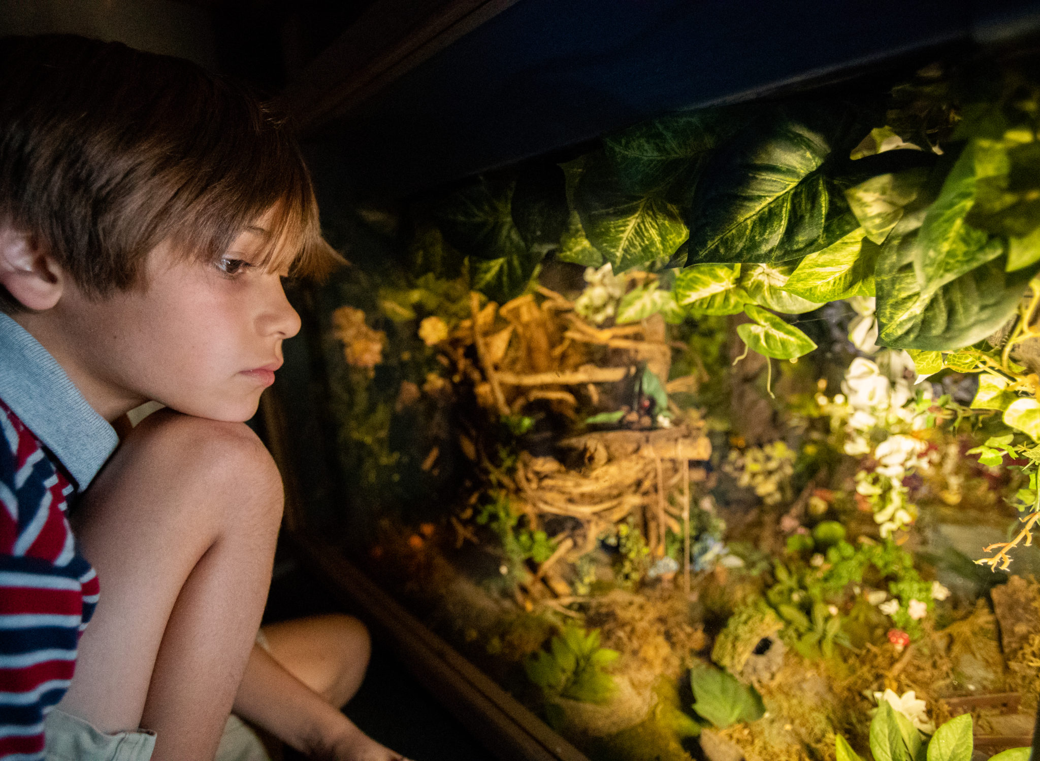 a child experiencing fairy world, a fun diorama located under the spiral staircase at the CMOSC