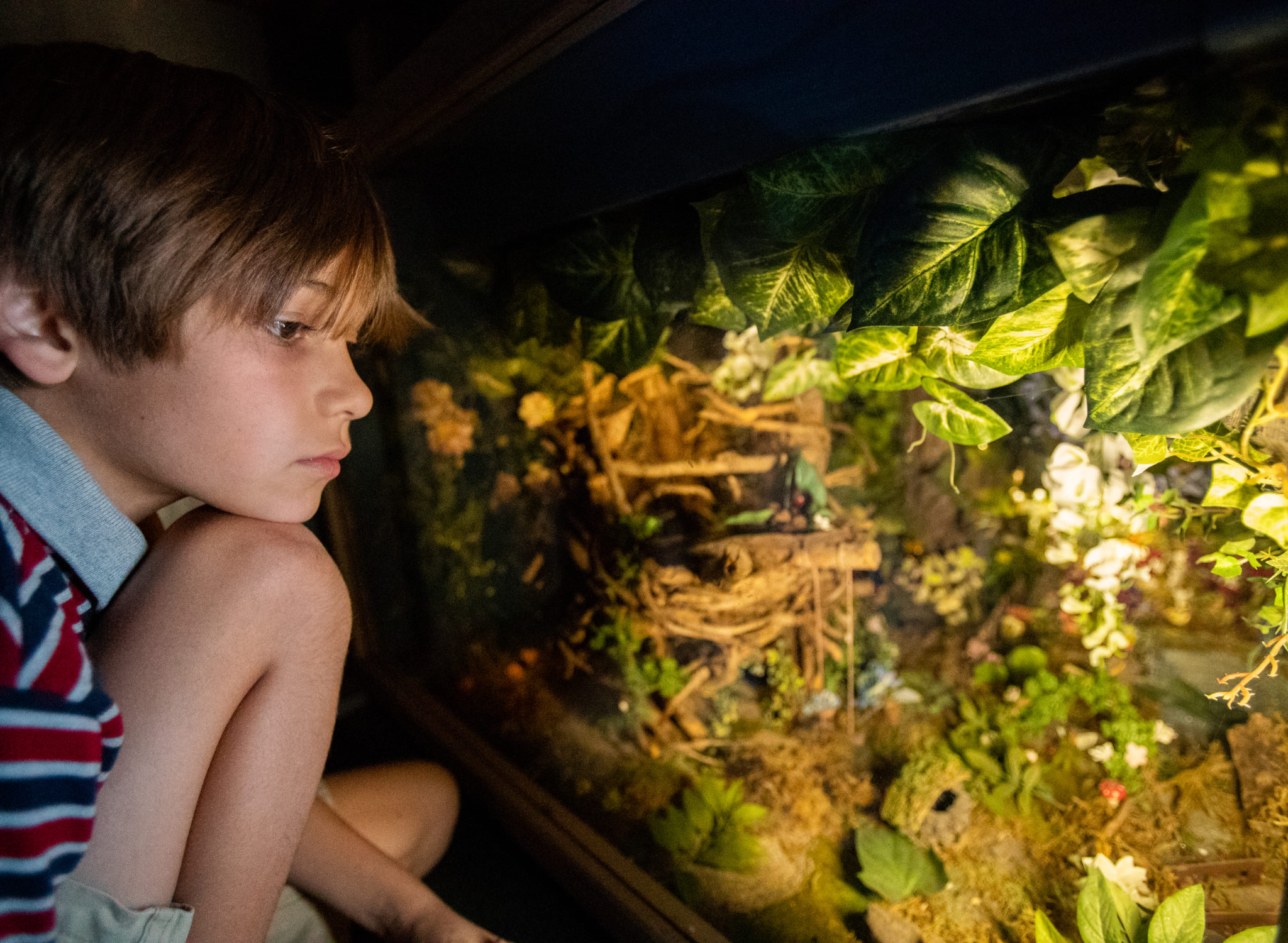 un niño experimentando el mundo de las hadas, un divertido diorama situado bajo la escalera de caracol del CMOSC