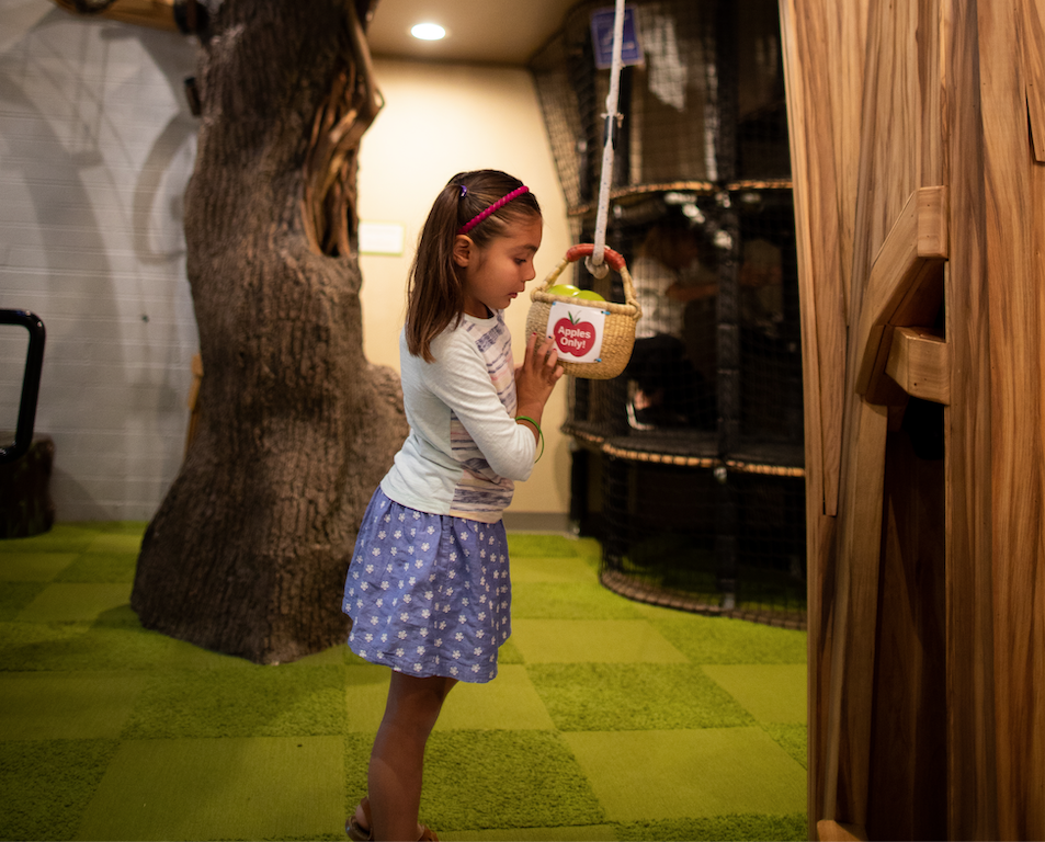 apple tree house and pulley system teaches children about pulleys