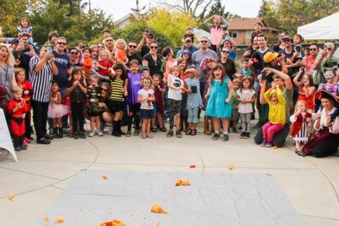 celebración de halloween no tan terrorífica