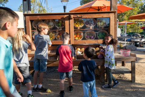 zona de juegos de la granja para niños en el museo infantil del condado de sonoma