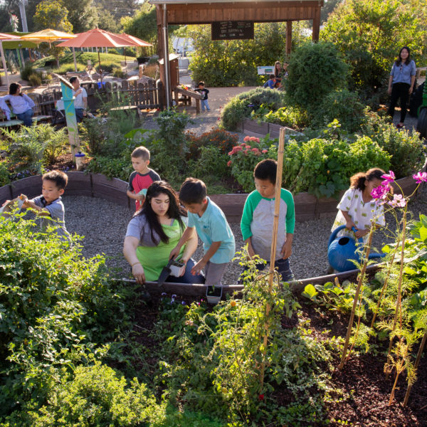 Children playing and gardening