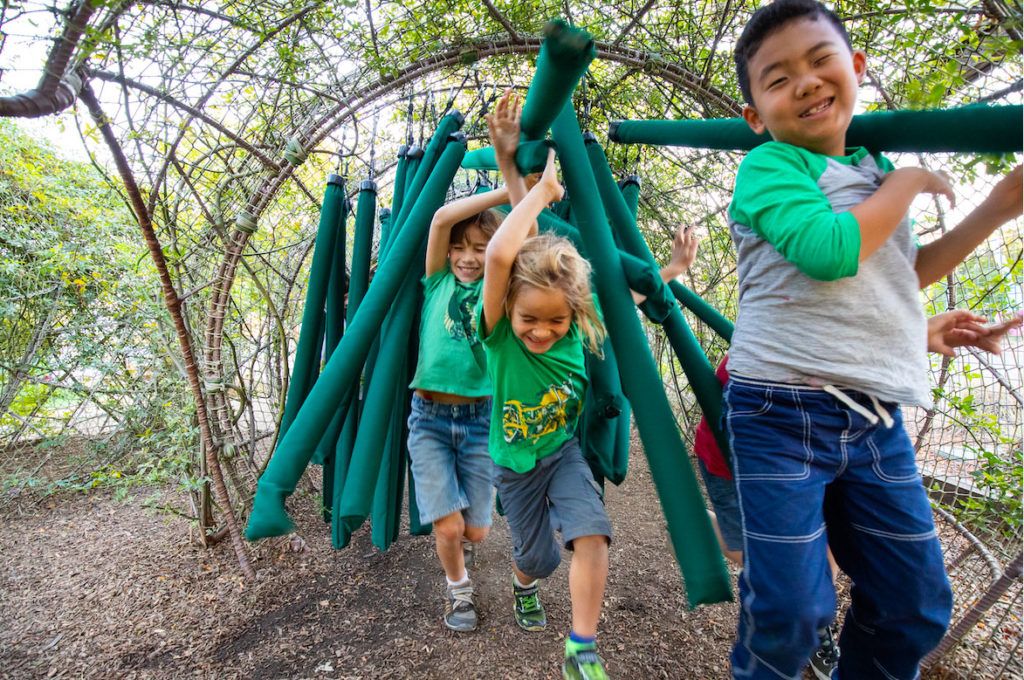 niños corriendo por la exposición de la selva al aire libre