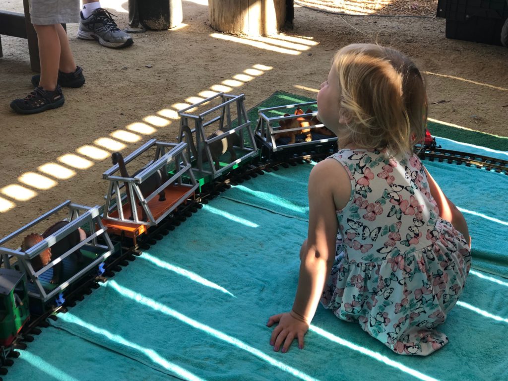 Train Days in Santa Rosa