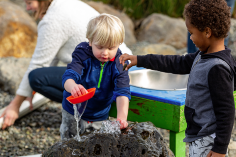 sonoma county coastline play area