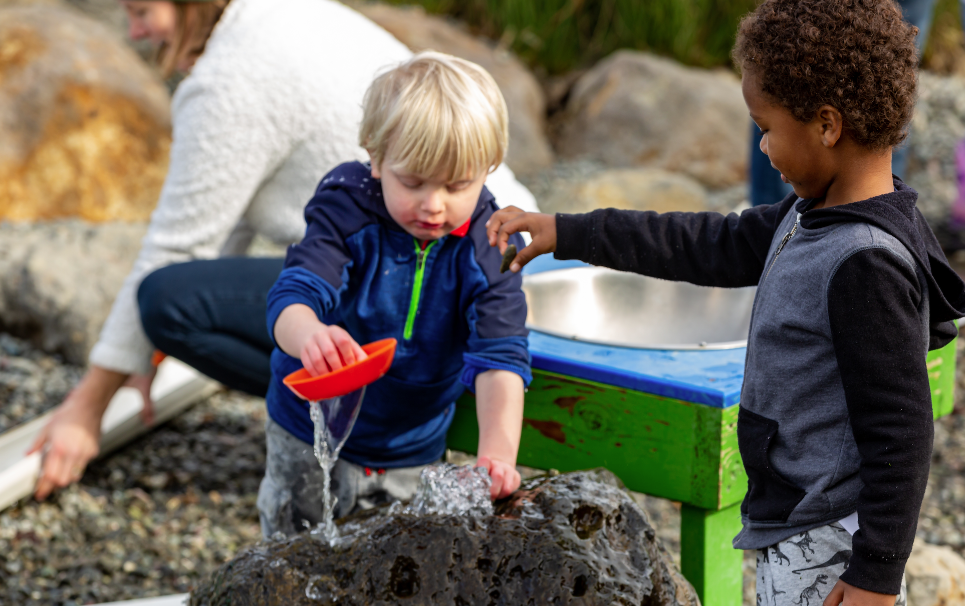 sonoma county coastline play area