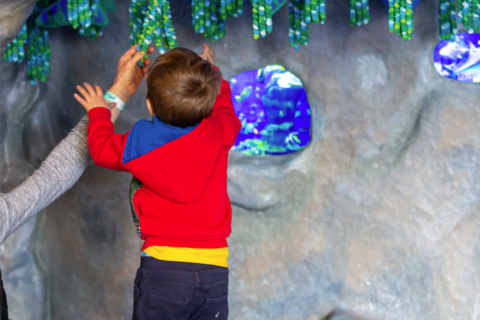 child playing in the sea grotto and ball pit