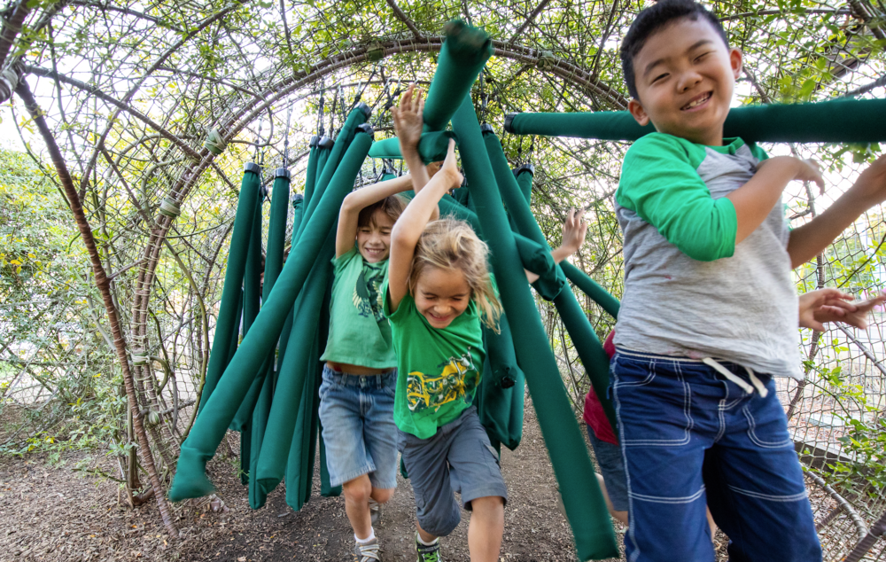 children running through tube jungle while playing and laughing