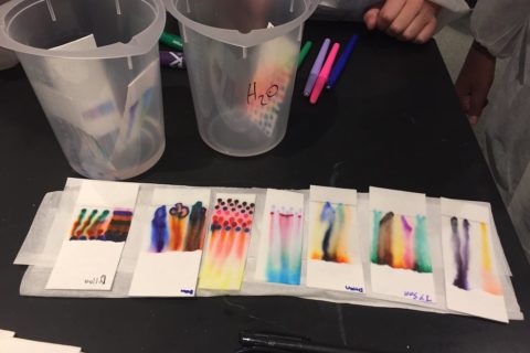 Experimento de color en cromatografía