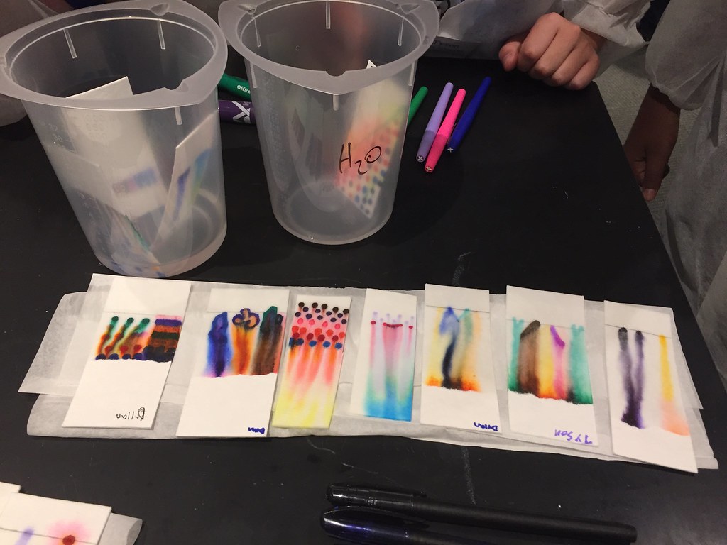 Chromatography Color Experiment For Kids