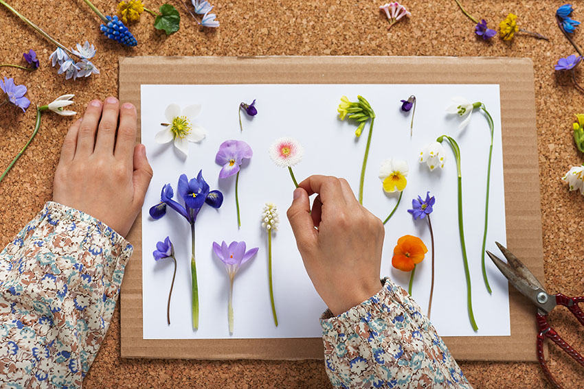 Niño haciendo una tarjeta de golpeo de flores diferentes flores de primavera