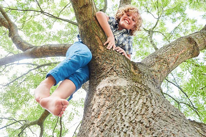 niño pequeño subiendo felizmente a un árbol