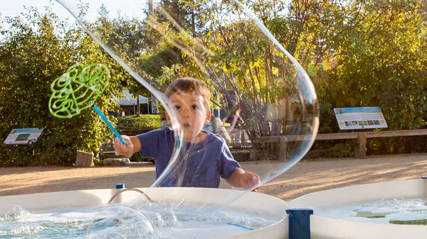 A little boy playing with bubbles and a bubble wand at The Sonoma County Children's Museum