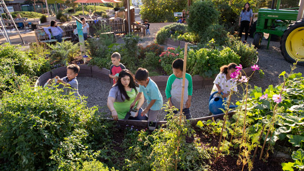 kids in the garden of the childrens museum of sonoma county