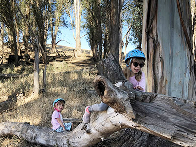 children playing on log