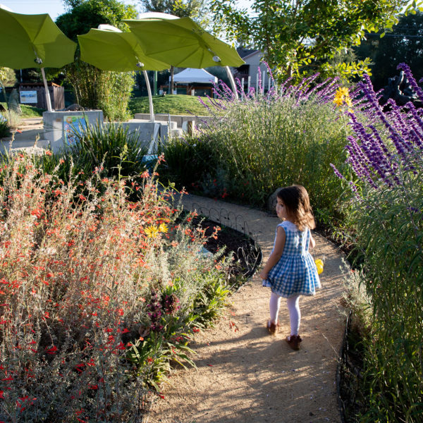 little girl walking down beautiful curved path of foliage and plants