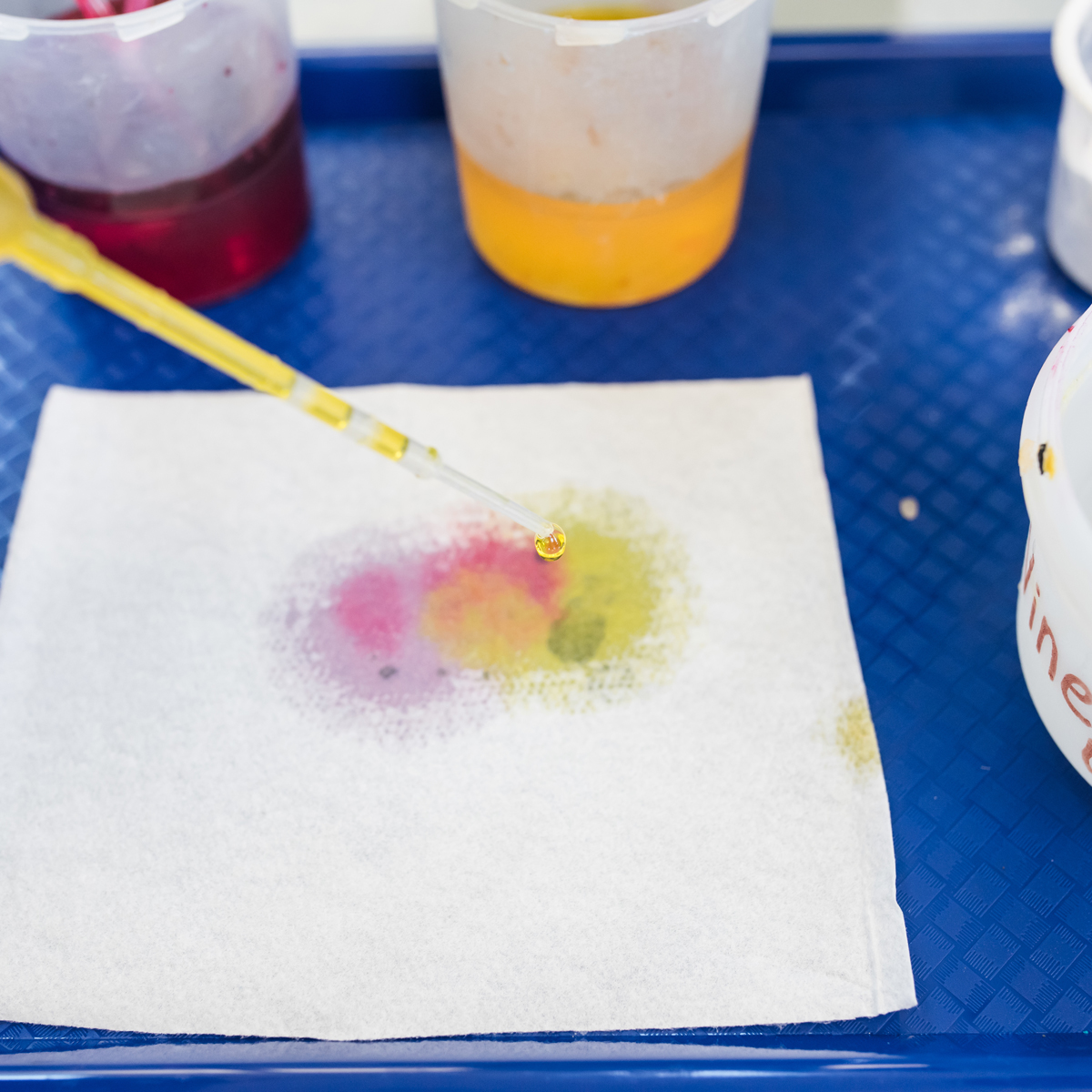 pipette dripping colored water onto cloth in kids experiment