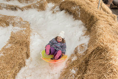 días de nieve 2019