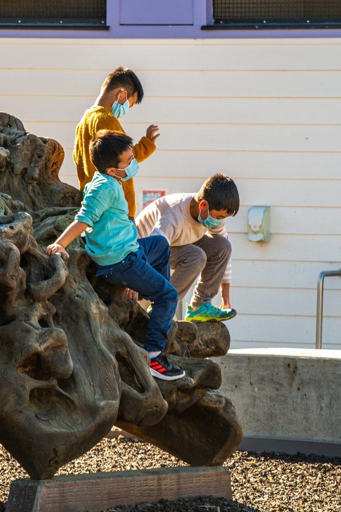 niños jugando en la exposición de troncos de árboles