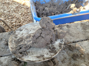 A sculpture of a sea lion made out of mud by a child during the Mud Lab program at the Children's Museum of Sonoma County