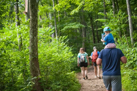 A family of hikers, three adults and one child on a man's shoulders reading a map hiking through the forest