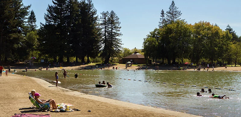 Children swimming in the Spring Lake Swimming Lagoon in Santa Rosa, Ca