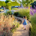 A young child happily walking through Mary's Garden surrounded by blooming flowers at the Children's Museum of Sonoma County