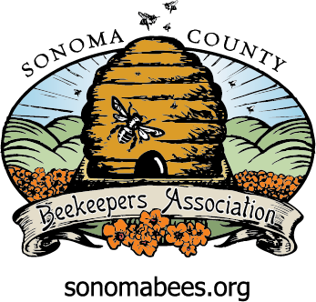 Press Kit Beekeeper Studio