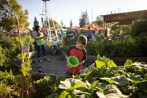 Los niños juegan y cuidan el jardín durante el programa semanal Garden Party en el Children's Museum of Sonoma County