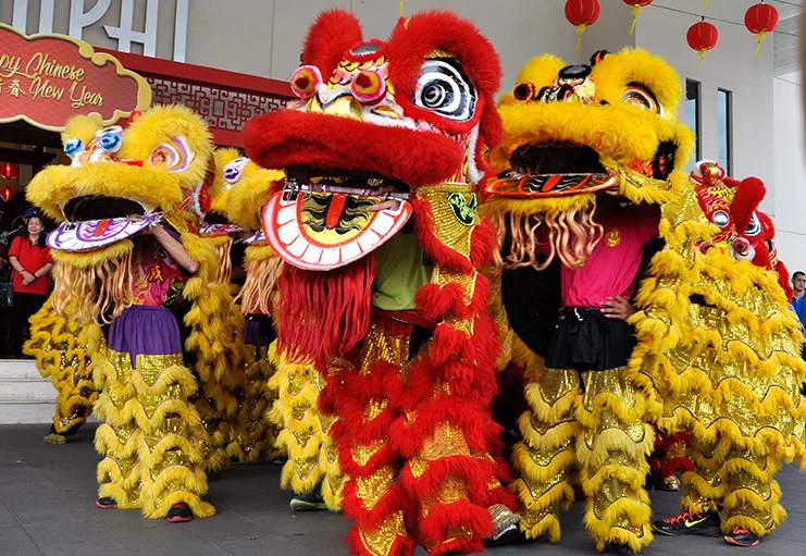 Chinese dragon and lion masks used to perform Lunar New Year Dragon Dance