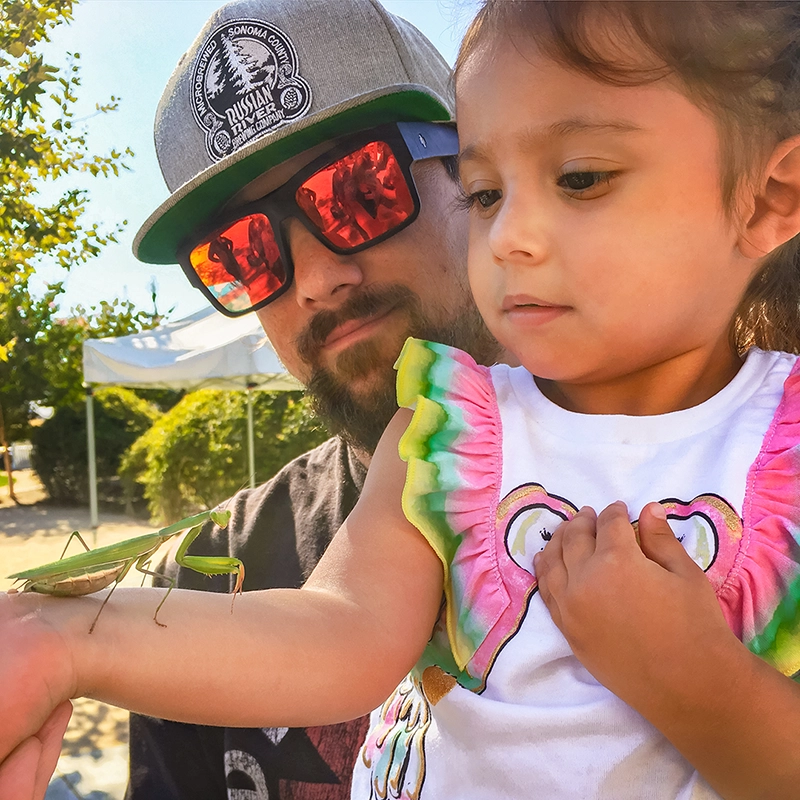 Una niña y su tutor observan de cerca una simpática mantis religiosa encontrada en el jardín de Mary, en el Museo Infantil del Condado de Sonoma. 