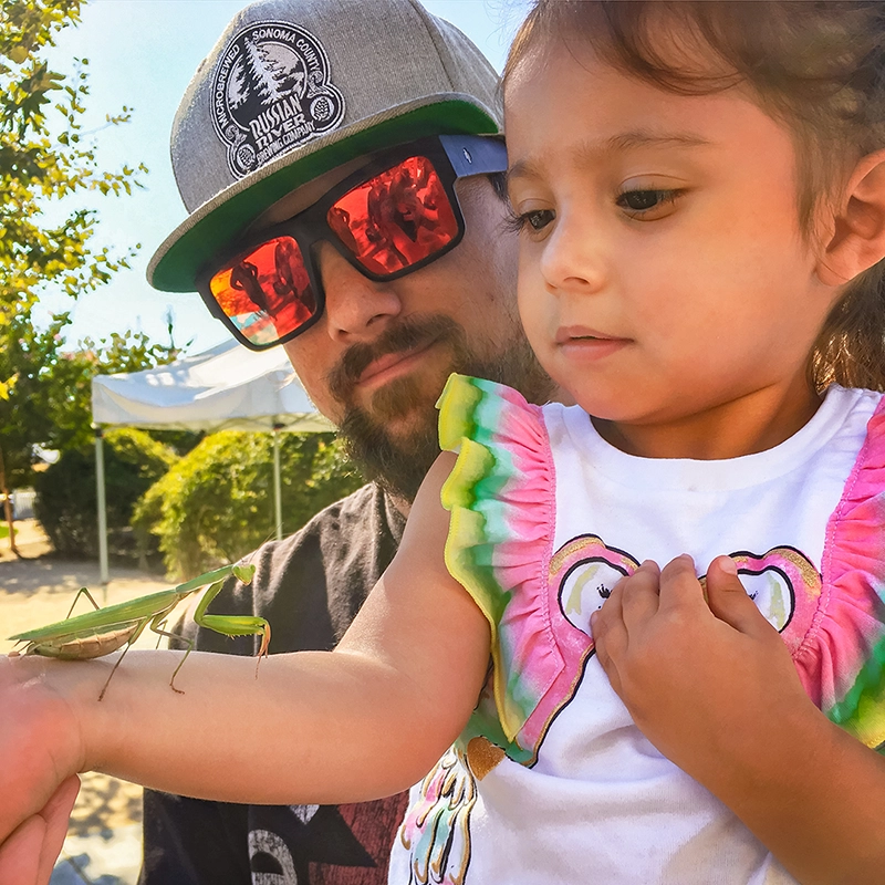 A little girl and her guardian looking at a friendly Praying Mantis close up found in Mary's garden at the Children's Museum of Sonoma County 