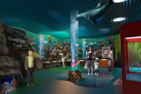A 3D rendering of the 1st Floor - Delta's Voyage Coral Reef at the Children's Museum of Sonoma County following the proposed expansion project and UP! capital campaign.