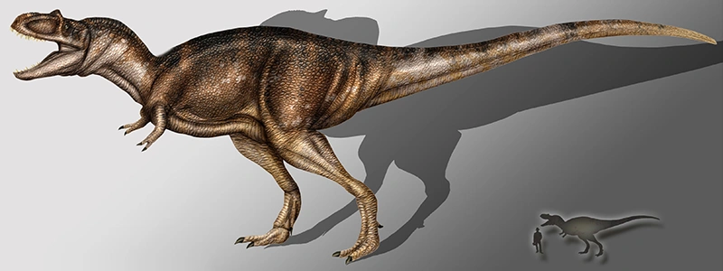 Digital rendering of a Albertosaurus Dinosaur