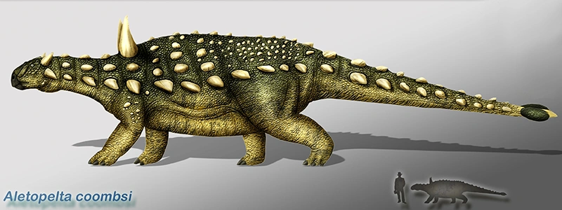 Digital rendering of a Aletopelta Dinosaur