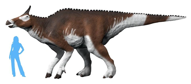 Digital rendering of a Augustynolophus Dinosaur