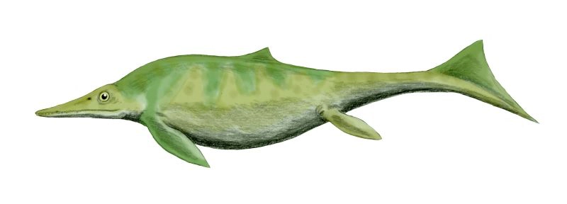 Digital rendering of a Californosaurus marine reptile