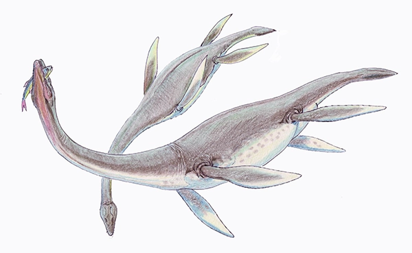 Digital rendering of a Plesiosaurus marine reptile