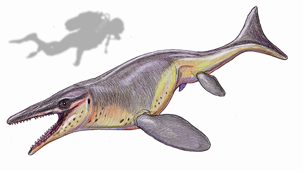Digital rendering of a Plesiotylosaurus marine reptile