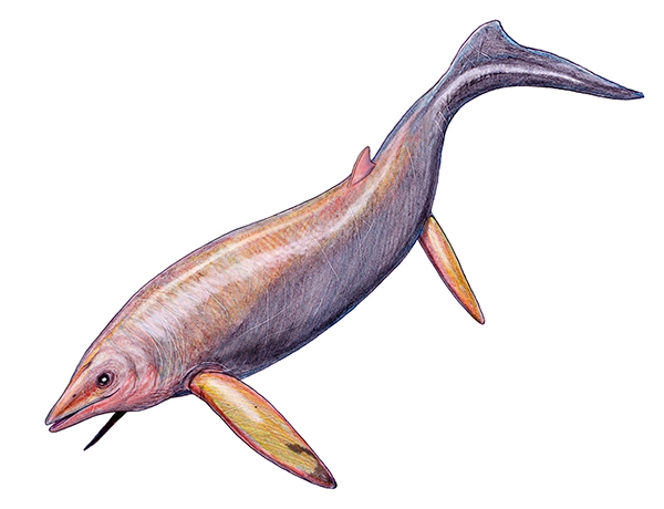 Digital rendering of a Shastasaurus marine reptile