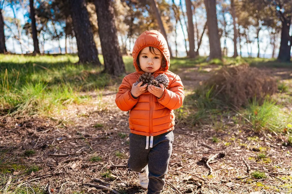 Un niño pequeño vestido con ropa de abrigo y brillante, caminando por un parque llevando varias piñas que encontraron mientras estaban en una otoñal búsqueda del tesoro al aire libre y un paseo por la naturaleza, sirviendo como ejemplo visual de ideas de juego sensorial de otoño para niños pequeños.