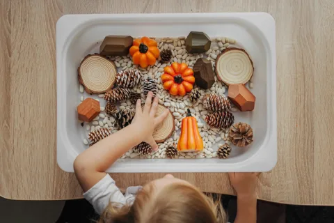 An aerial view of a toddler playing with a Fall Sensory Bin filled with small, faux pumpkins, pinecones, and dried beans, serving as a visual example of Fall sensory play ideas for toddlers.