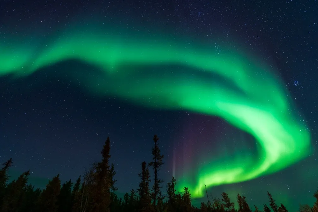 Una foto tomada en Canadá, por la noche, en la que se vislumbran las copas de los altos árboles del bosque en la parte inferior de la imagen y se ven luces verdes y púrpuras que se arremolinan en el cielo nocturno. Estas luces se conocen como la aurora boreal, un fenómeno natural causado por la colisión de partículas solares con los gases de la magnetosfera terrestre.